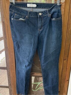 torrid Indigo Skinny Jeans with Contrast Stitching. Size 10S